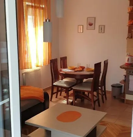 Anja Novi Sad